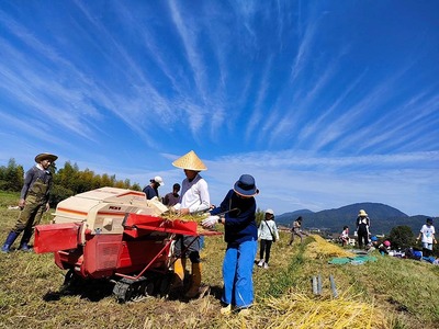 【12回定期便】京都府・亀岡産 栽培期間中農薬不使用 亀岡学校給食プロジェクト 自然栽培米の米粉 1kg(500g×2)×12回定期便　亀岡オーガニックアクションがお届け※離島への発送不可