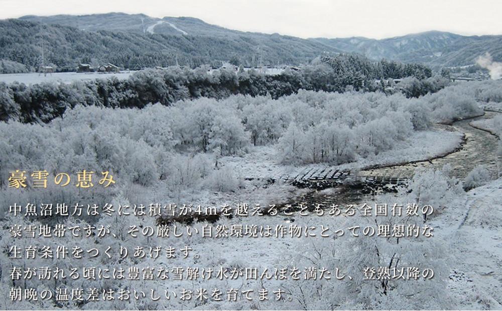 【6ヶ月定期便】令和7年産新米 中魚沼産「新之助(しんのすけ)」10kg×全6回127534-047
