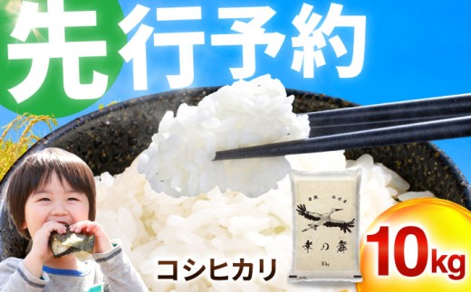【 先行予約 /11月以降発送】 【令和8年産】 福井県産 コシヒカリ 10kg お米 白米 小浜市 / 今富の宝 [BFCI005]