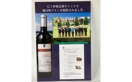 やまがたの日本ワイン 5星と4星ワイナリーの赤 辛口 お酒 赤ワイン フルボディ ワイナリー 山形県産 F2Y-4506