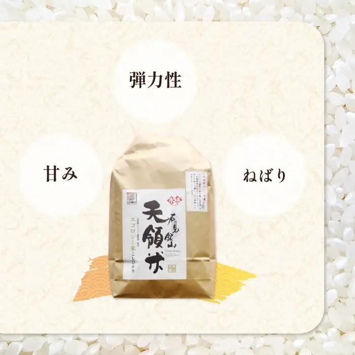 【定期便】石見銀山天領米(5kg×5回お届け)【定期便 定期 5回 コシヒカリ 精米 5kg×5回 合計25kg 島根県産 大田市産 米 氷感熟成 エコロジー米 天領米】