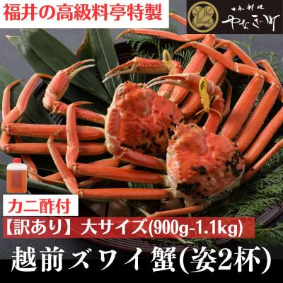 ふるさと納税 福井市 【11〜12月発送】【2杯セット】蟹料理店の訳あり茹で越前がにズワイガニ 大900g〜1.1kg足折
