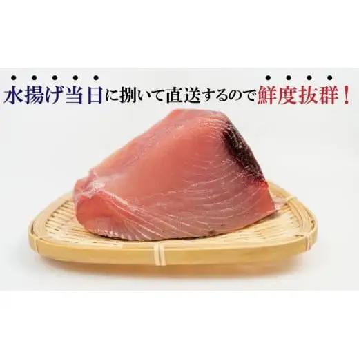 【 マグロ 】 【12月より順次発送】国産天然マグロ 2kg