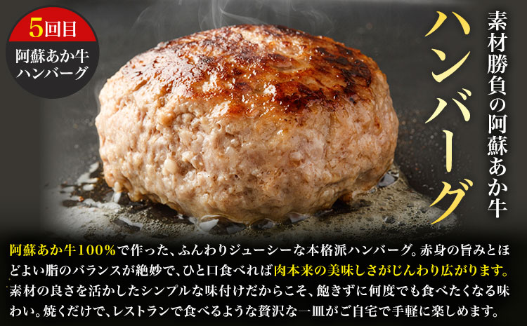 【6ヶ月定期便】阿蘇あか牛満喫セット 株式会社LARKS《お申し込み月の翌月から出荷開始》肉 牛肉 あか牛 ローストビーフ ハンバーグ 冷凍 名物 熊本県 毎月届く 送料無料