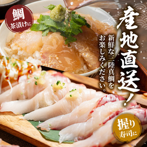 真鯛 刺身 600g 訳アリ 真鯛