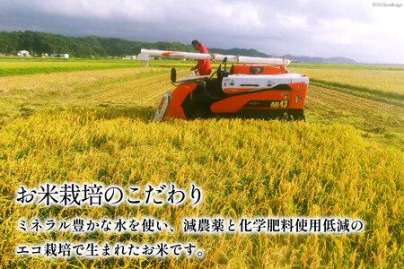 【期間限定発送】 米 令和7年 コシヒカリ 白米 450g(3合)