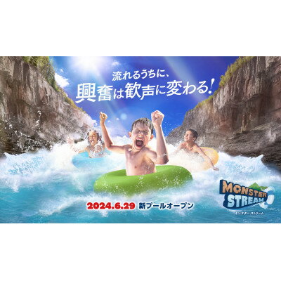 【ふるさと納税】東京サマーランド 1Dayパス ご招待券 3枚【1504327】