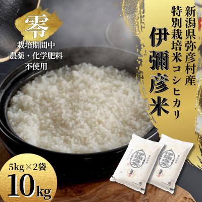 ふるさと納税 弥彦村 令和7年産 新潟県産 栽培期間中農薬不使用 コシヒカリ「伊彌彦米 零(ぜろ)」 10kg