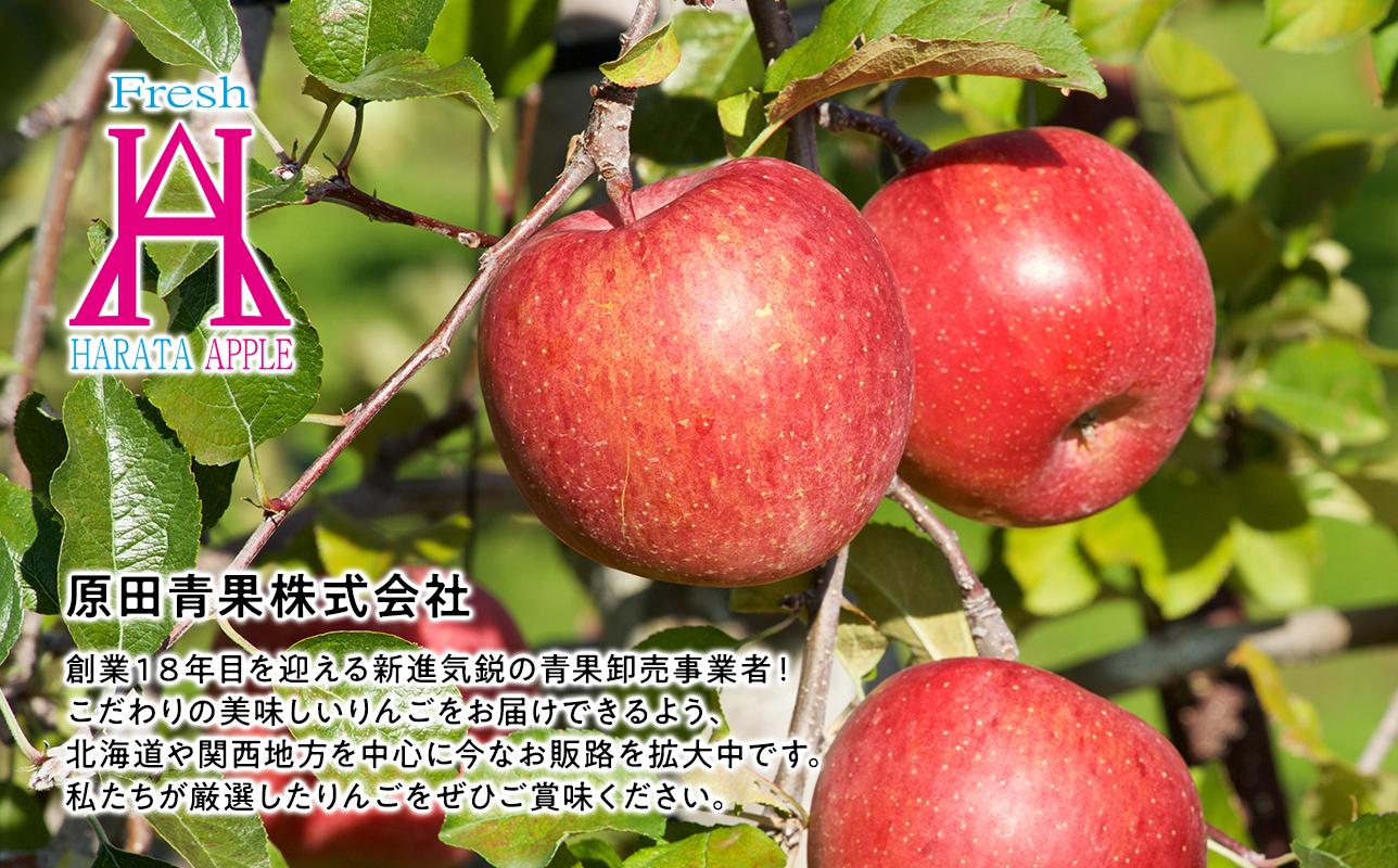 5月発送【訳あり】家庭用有袋ふじ約5kg クール便【原田青果】りんご 林檎 リンゴ 果物 くだもの フルーツ 不揃い 規格外