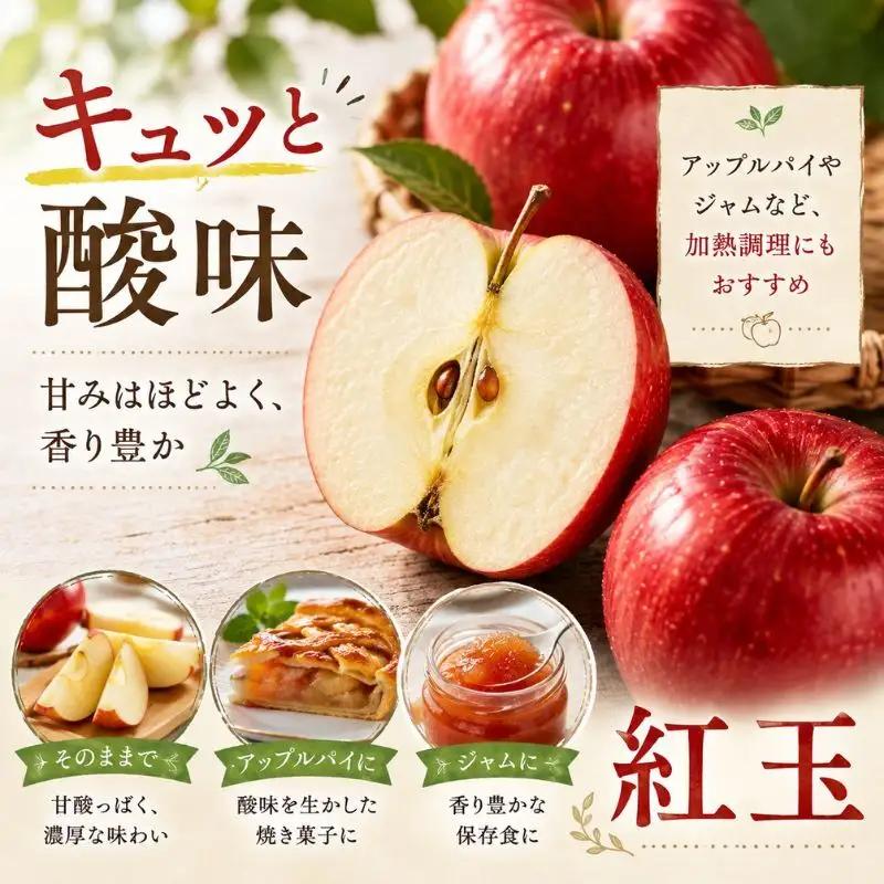 りんご 訳あり 紅玉 4.5kg りんご 