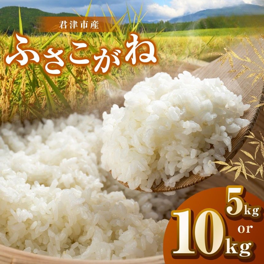 【ふるさと納税】 新米 【 選べる容量 】令和7年産 君津市産 ふさこがね 5kg or 10kg 米 コメ こめ お米 千葉県産 千葉県 君津市 きみつ JAさだもと