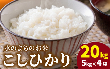 【令和7年産】こしひかり（福井県大野市産）エコファーマー米（白米）20kg（5kg×4袋）[F-003005]