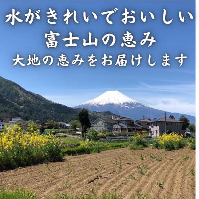 ふるさと納税 西桂町 富士山麓の農家直送!新鮮野菜!農家厳選の旬のお野菜セット約5〜8種類を約3kg〜5kgをお届けします |  | 02