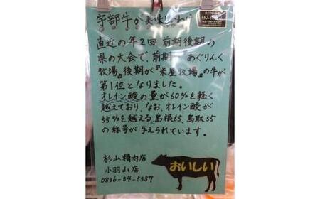 【山口宇部牛】社長おまかせ＜５万円コース＞黒毛和牛Ａ５ランク宇部牛 AX12-FN　（黒毛 和牛 宇部 山口 和牛 極上 和牛 牛 A5ランク 和牛 サーロイン ローストビーフ ステーキ）