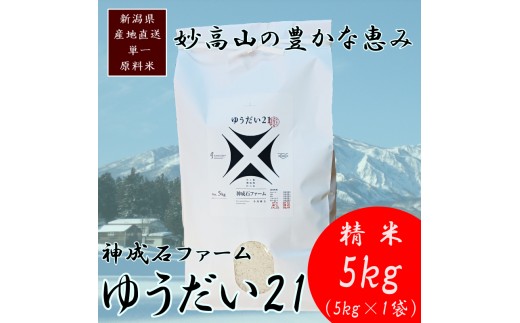 標高200mで育てた棚田米|令和7年・新潟県上越産・ゆうだい21精米5kg　白米  お米 こめ おすすめ ふるさと納税 新潟 新潟県産 にいがた 上越 上越産