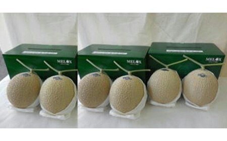 【通年出荷】 高級 温室 静岡県産 アローマメロン ６玉 化粧箱入