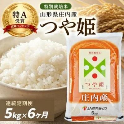 ふるさと納税 酒田市 【毎月定期便】特別栽培米 つや姫【精米】5kg全6回