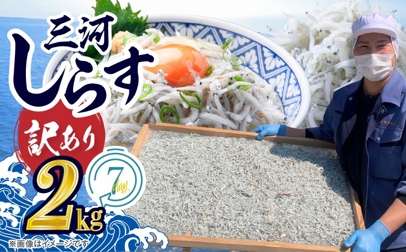訳あり しらす干し 三河しらす 国産 1kg × 2 計 2kg 新鮮 しらす 釜茹で うま味 濃縮 塩分 控えめ まろやかな味わい やみつき ご飯のお供 おつまみ 酒の肴 しらす丼 サラダ 魚 海産物 冷凍 お取り寄せ グルメ 食品 愛知県 碧南市 送料無料 H018-060