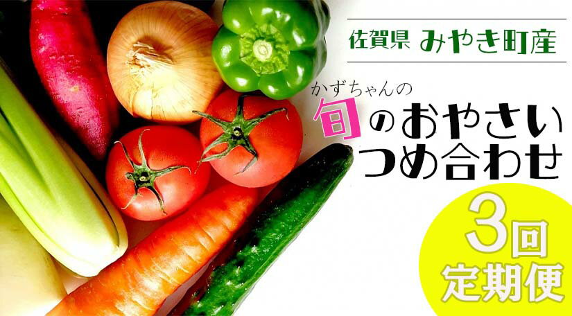 【ふるさと納税】【3回定期便】かずちゃんの朝採り新鮮野菜セット毎月お届け みやき町産（CC003)