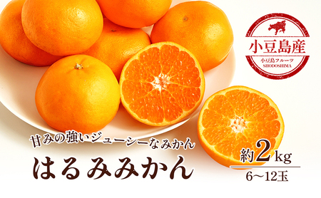はるみ 小豆島はるみみかん 柑橘 フルーツ はるみ【約2kg】