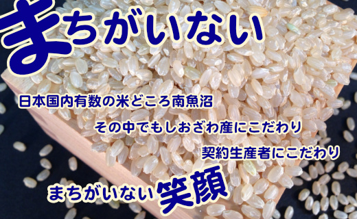 【令和7年産】【定期便】玄米 生産者限定 南魚沼しおざわ産コシヒカリ2Kg×12ヶ月【2025年10月上旬より順次発送予定】