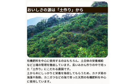 有田みかん約5kg　頑固オヤジのこだわりみかん　※2024年11月中旬～2025年1上旬頃より順次発送予定【krf004-r-5】
