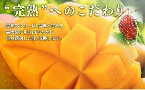 【ANA限定】西都産完熟マンゴーL×4個（約1.2ｋｇ）酒井農園《先行予約》＜1.7-6＞