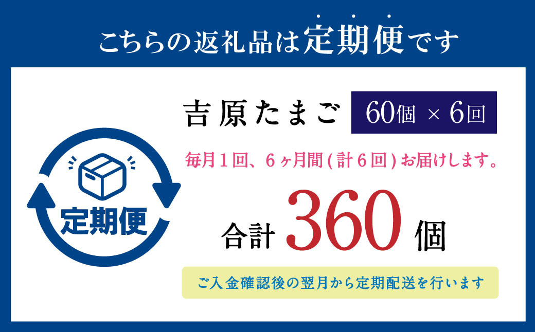 【６ヶ月定期便】濃厚プレミアム！！吉原たまご2箱 30個入り×2箱 計60個 卵 たまご