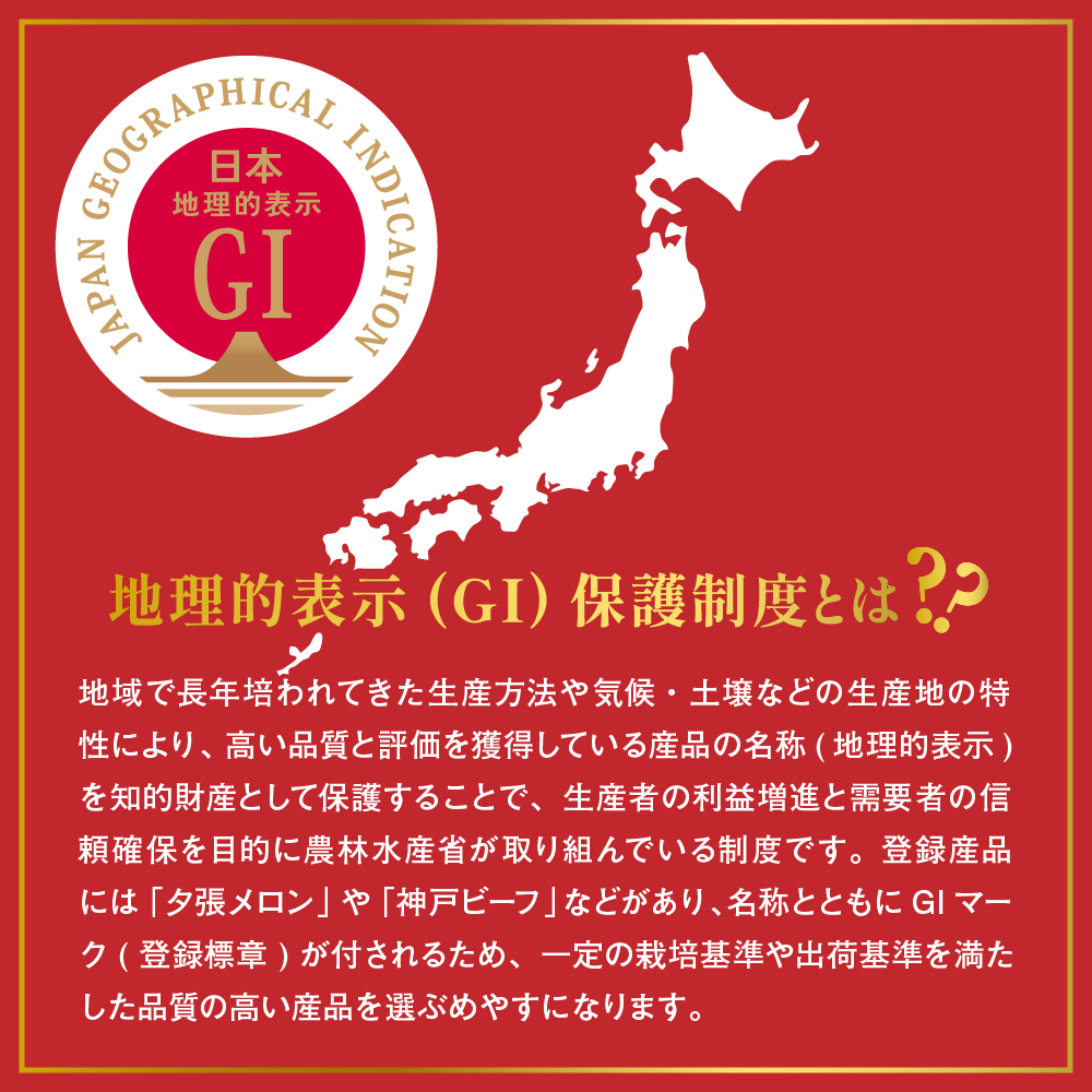 2026年 GI東根さくらんぼ「紅秀峰」700gバラ詰め(350g×2ﾊﾟｯｸ) 秀品 2Lサイズ 東根農産センター提供 山形県 東根市 hi027-226
