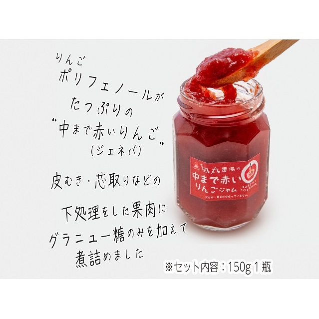 ドライフルーツ 大地の恵み セット L 風丸農場 ドライアップル ドライ フルーツ りんごジャム カレールー りんごシロップ ジャム 詰め合わせ りんご 干しリンゴ アップル ブルーベリー ラズベリー