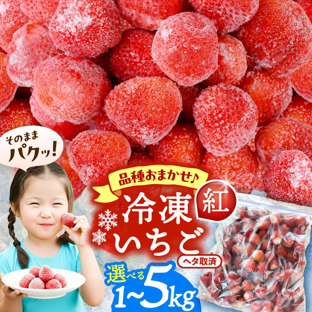 【ふるさと納税】＼選べる内容量／ 冷凍苺 1kg～5kg いちご 果物 フルーツ 苺 イチゴ 紅ほっぺ やよい姫 かんな姫 愛西市 / くぼ苺農園 【配達不可：離島】[AECJ025]