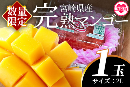 ＜先行予約 【期間数量限定】2025年5月発送 宮崎県産完熟マンゴー2L 1玉＞(1玉入・階級2L)【MI516-yk】【みまたんよかもん協同組合】