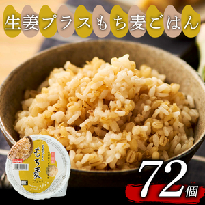 【栄養満点】生姜プラスもち麦ごはん 160g×72個 ご飯パック