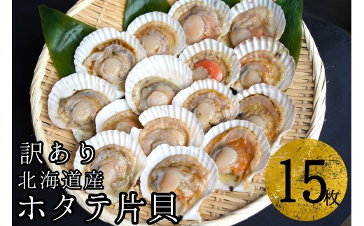 【訳あり】ほたて片貝 15枚入り ウロ処理・洗浄済み殻付きほたて 下処理済 バター焼き ご飯 冷凍 旬 おつまみ 海鮮 せたな町 ふるさと納税