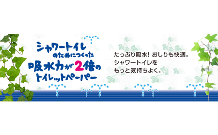 定期便 3ヵ月連続お届け エリエール ハーフサイズ 収納に便利 コンパクト 【少量3パック】 エリエール シャワートイレのためにつくった吸水力が2倍 トイレットペーパー ダブル 25m 12R 3パッ