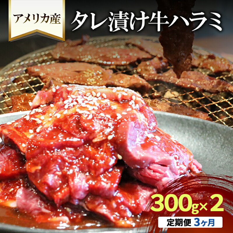 【ふるさと納税】【3か月定期便】アメリカ産タレ漬け牛ハラミ　300g×2 | 牛肉 焼肉 焼き肉 アウトドア BBQ　お届け：年末年始(12/29～1/4)の配送はいたしかねます。