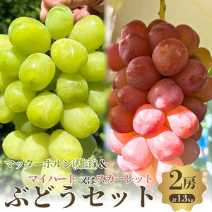 【先行予約】【数量限定】おすすめ感謝 セット ぶどうセット マッターホルン スカーレット or マイハート 2房 詰め合わせ 葡萄 ぶどう 食べ比べ フルーツ 果物  旬の果物 大阪府 岸和田市