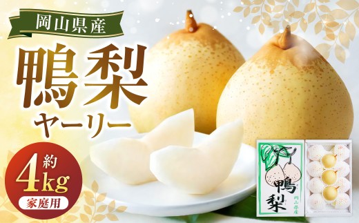 鴨梨（ヤーリー） 6～13玉 合計約4kg ご家庭用 梨 ナシ なし 【2026年11月下旬～12月下旬発送予定】