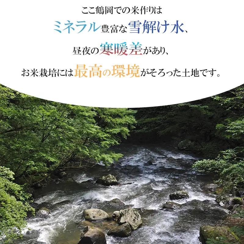【令和7年産】 特別栽培米 山形つや姫 無洗米 5kg (5kg×1袋)　山形県鶴岡市産　株式会社菜な八（鶴岡ファーマーズ）