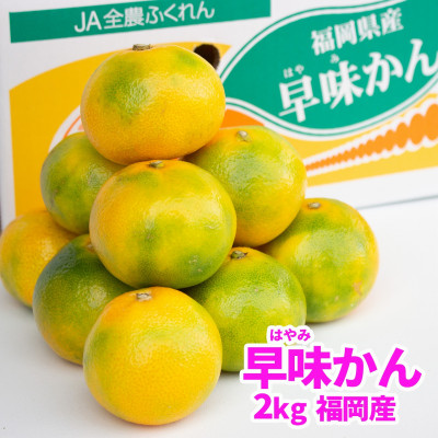 【宇美】福岡限定!オリジナルブランドみかん「早味かん」約2kg【配送不可地域：離島】
