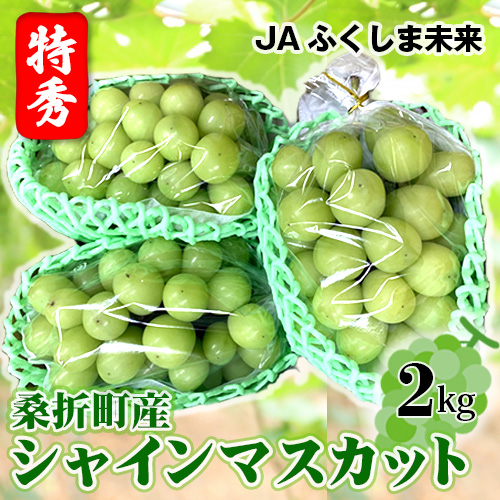 【令和8年9月頃発送】ぶどう（シャインマスカット）特秀2kg　桑折町産　JAふくしま未来　葡萄 No.172