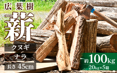 薪 ナラ＆クヌギ 約100kg（約20kg×5箱）| 乾燥薪 楢 椚 栃木県 茂木町