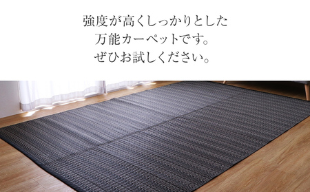 ＰＰカーペットバルカンＢＲ江戸間6畳（261×352） おすすめ 福岡県 大木町 AA352