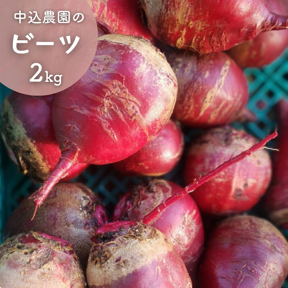 【ふるさと納税】先行予約 中込農園のビーツ 2kg 農家直送 産地直送 火焔菜 カエンサイ かえんさい ビート ビートルート レッドビート テーブルビート ガーデンビート ウズマキダイコン 野菜 やさい千葉県 八街市 八街 中込農園
