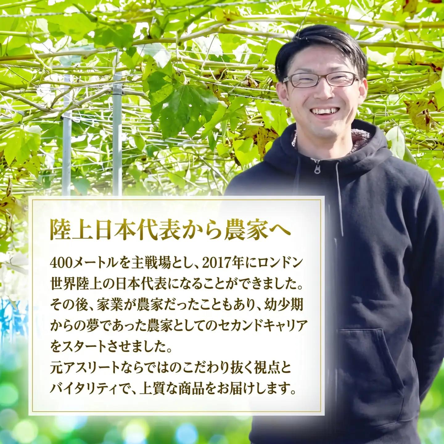 【2027年発送】 朝採りシャインマスカット 約2kg(3房～4房) フルーツ シャインマスカット 