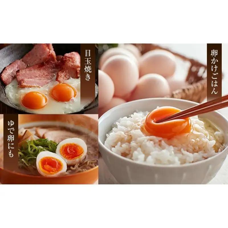 【烏骨鶏卵満喫スペシャルセット】平飼い烏骨鶏卵、卵かけご飯専用醤油麹、烏骨鶏卵黄100％プリン、卵白100％プリン たまご 生卵 タマゴ うこっけい 平飼い 醤油麹 プリン 森町 静岡県