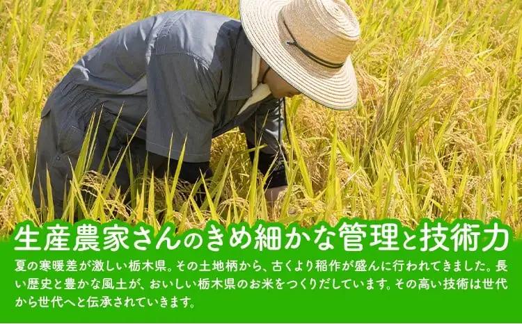 【12ヶ月定期便】令和7年度産 米 栃木県産 コシヒカリ 白米 20kg《お申込み翌月から出荷》栃木県 野木町 米 白米 精米 国産 お米 おこめ お弁当 おにぎり【栃木県共通返礼品】