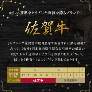 O176x1 佐賀牛 カルビ焼肉 260g カルビ 焼肉 霜降り ギフト 贈答 国産牛 和牛 ブランド牛 牛肉 肉 高級 人気 おすすめ 佐賀県 太良町
