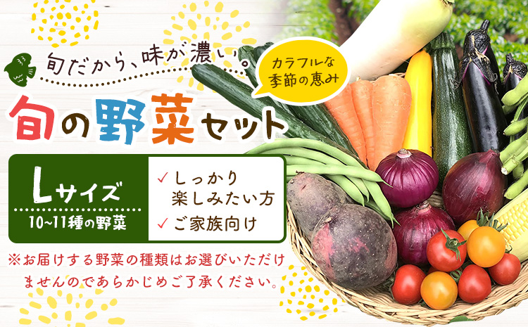野菜 旬の野菜セット Lサイズ 約10～11種 《30日以内に出荷予定(土日祝除く)》 ベジLIFE!!季節の野菜  料理 甘い 採れたて トマト 新玉ねぎ じゃがいも キャベツ 白菜 ベジライフ 千葉県 我孫子市 【配送不可地域あり】（沖縄・離島）