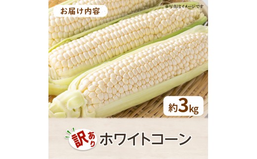 ＜先行予約！2027年6月上旬以降順次発送予定＞＜訳あり＞＜選べる容量＞ホワイトコーン(約3kg) 【man109-A】【Aglio nero】